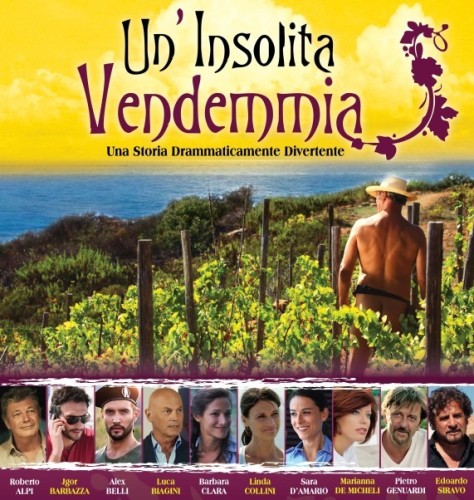 un'insolita vendemmia